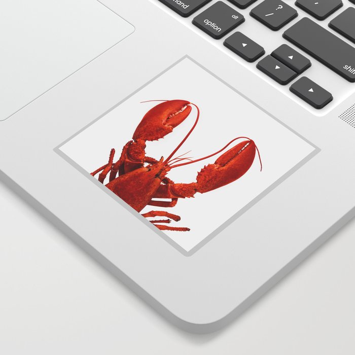 Atlantic Lobster 2 Sticker