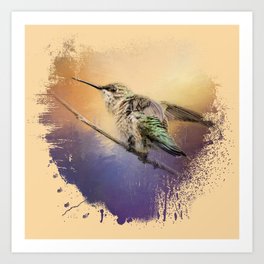 Hummingbird At Sunset Art Print
