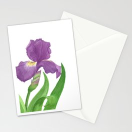 Stunning Purple Iris Flower Stationery Cards