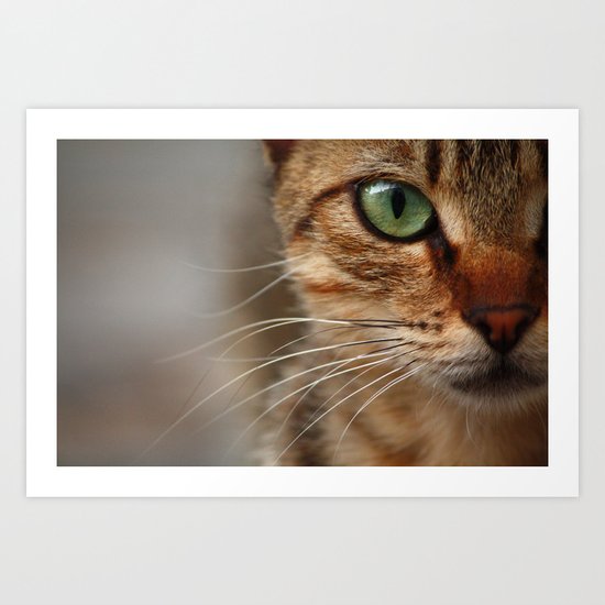 Cat Art Print