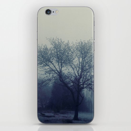 Flight of Fancy iPhone & iPod Skin