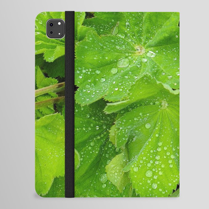 Dew Drops On The Green Leaves iPad Folio Case