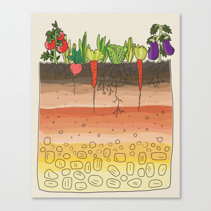 Earth soil layers vegetables garden cute educational illustration kitchen decor print Canvas Print