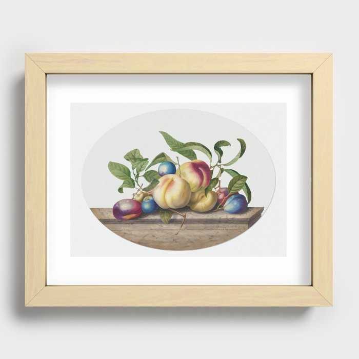 Fruit Arrangement Peaches and Plums on a Slab of Marble (1742) by Georg Dionysius Ehret. Recessed Framed Print