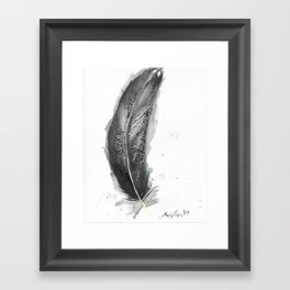 Immature Bald Eagle Feather Framed Art Print