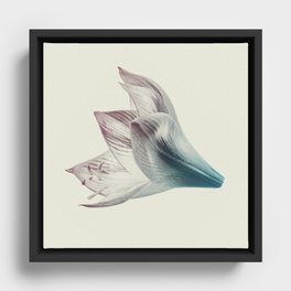 Abstract flower in bloom Framed Canvas