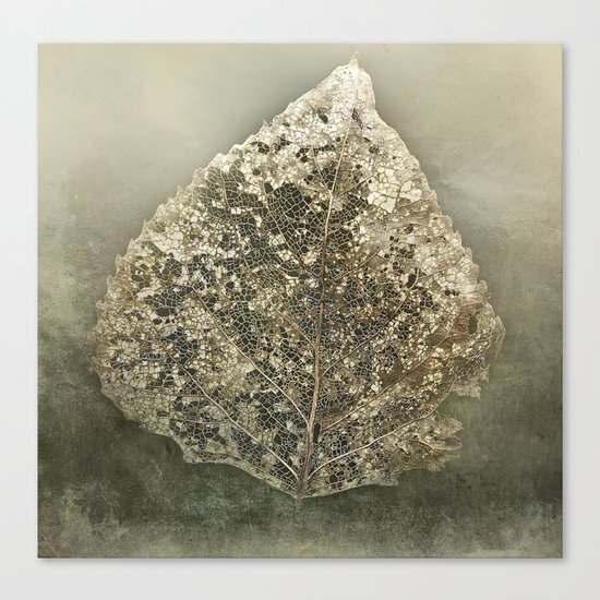 Old gold Canvas Print