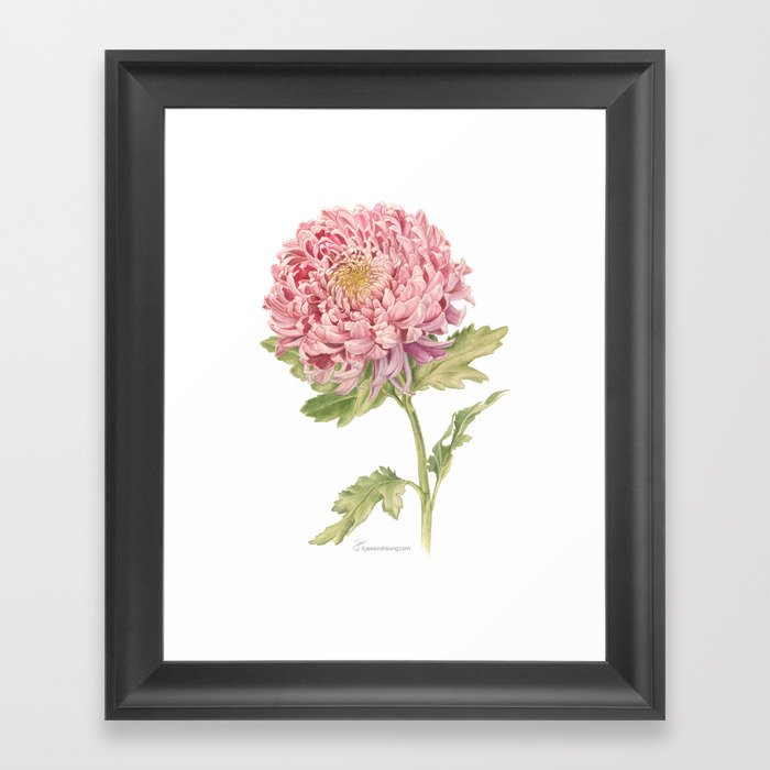 Japanese Chrysanthemum Framed Art Print