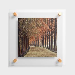 Beautiful autumn scenery Floating Acrylic Print