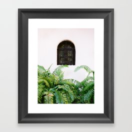 Santo Domingo window | Minimalistic botanical travel photography print | Dominican Republic wall art Framed Art Print