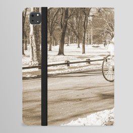 Central Park Sepia Photography iPad Folio Case