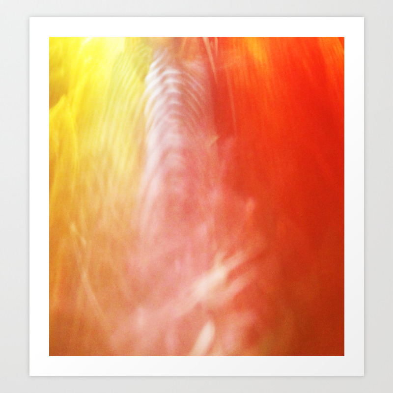 Reflection Of Chihuly Art Print By Nightowling Society6