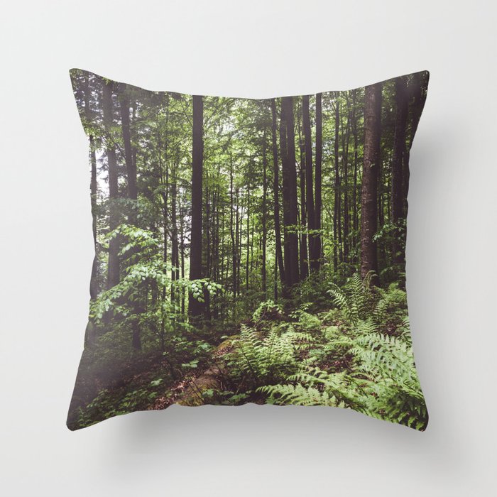 Throw Pillow