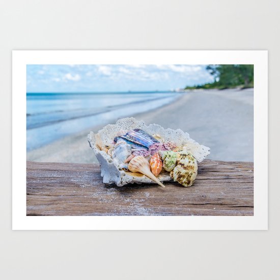 Sea Gems Art Print
