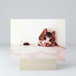 cat Mini Art Print