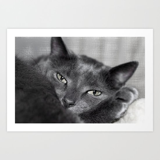 Finlay Art Print