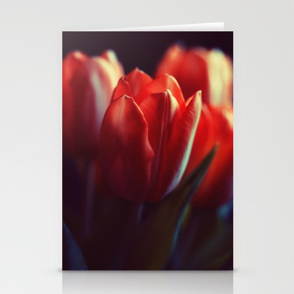 red tulips at dawn Stationery Cards