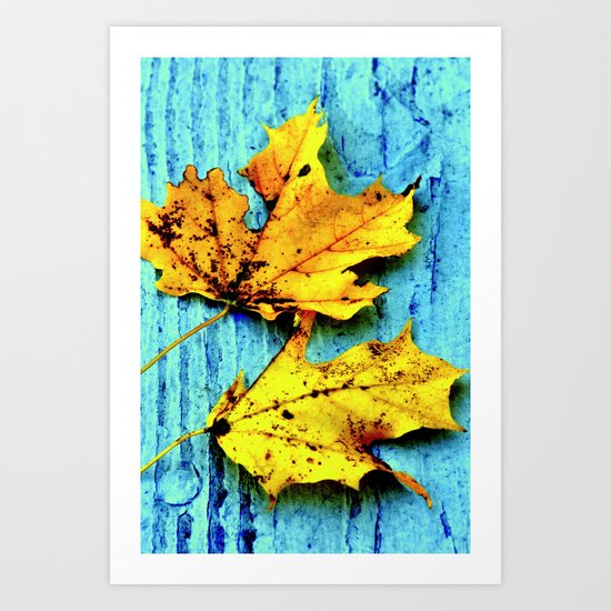 Fallen Leaves Art Print