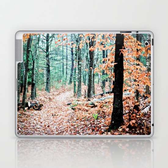 Once Upon a Time Laptop & iPad Skin