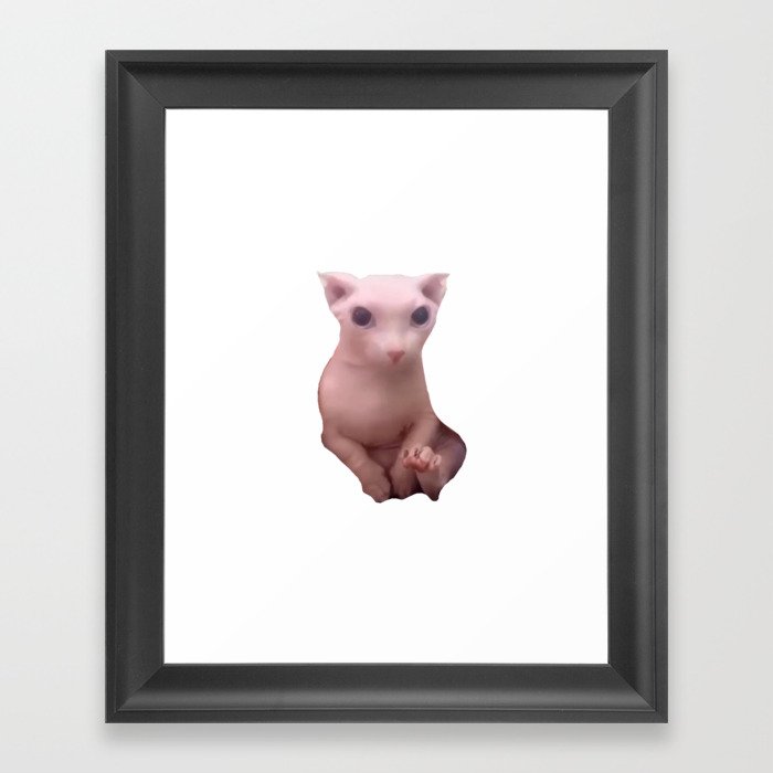Bingus cat - High Quality Framed Art Print