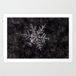 January Snowflake #3 Art Print