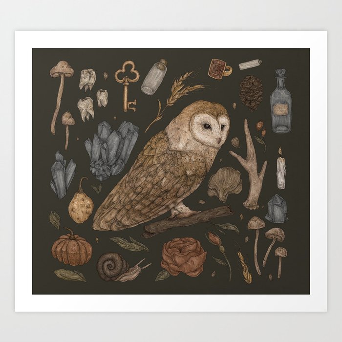 Harvest Owl Art Print