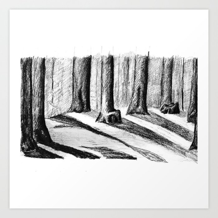 Trees Casting Shadows in the Woods Art Print | Drawing, Chalk-charcoal, Nature, Natural, Tree, Trees, Forest, Woods, Shadows, Drawing