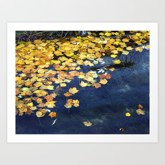 Float Art Print