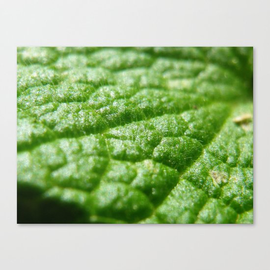super green Canvas Print