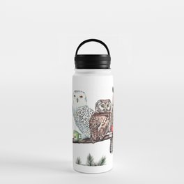Tea owls , funny owl tea time painting by Holly Simental Water Bottle