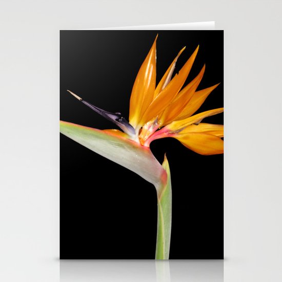 Birds of Paradise Flower Stationery Cards