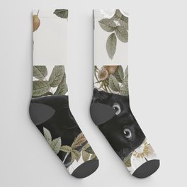 Cat With Flowers Socks