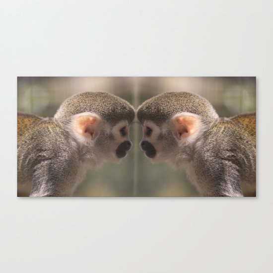 Mirror monkeys Canvas Print