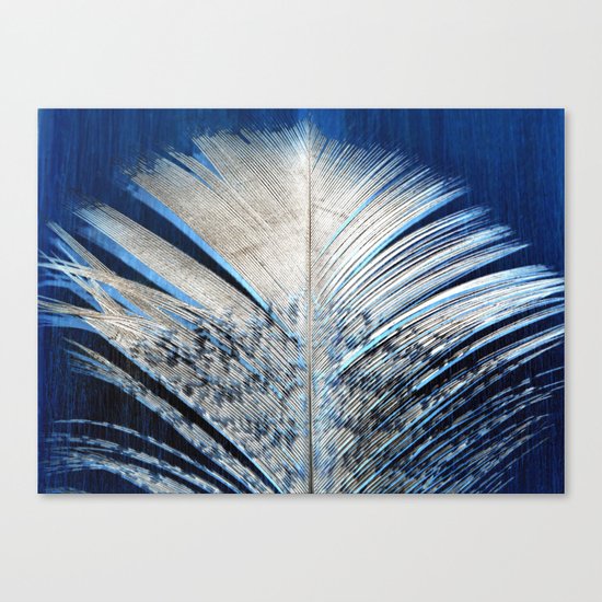 Feather | Feathers | Spiritual | White and Blue Feather | Nature Canvas Print