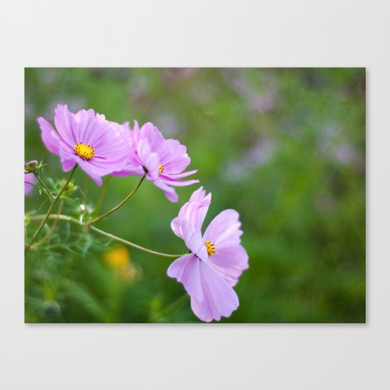 Cosmos Canvas Print