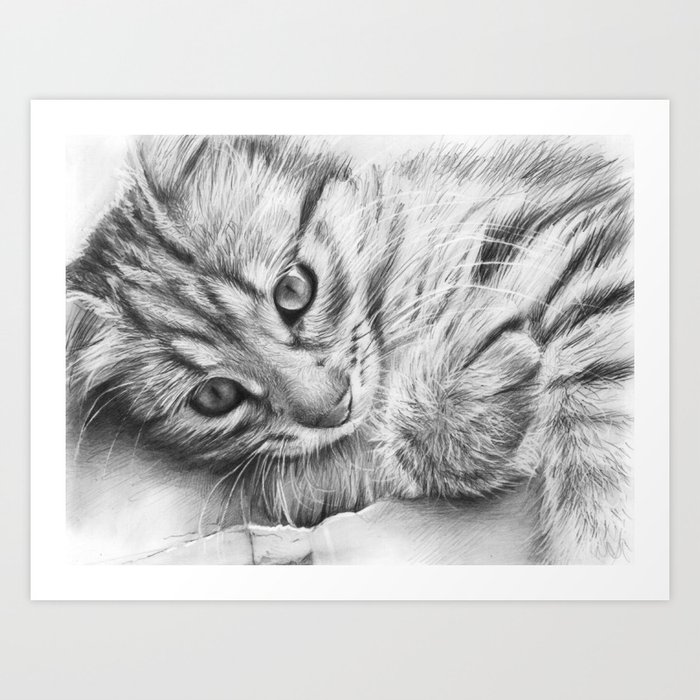 Cat Kitten Dawing Art Print