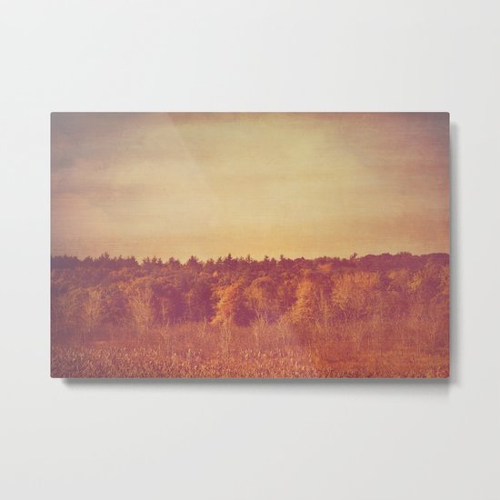 Wide Open Spaces Metal Print