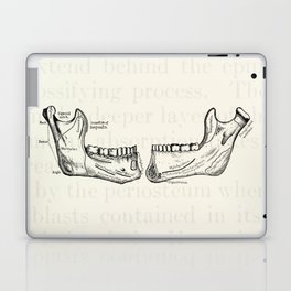 Vintage Anatomy Lower Jaw Laptop Skin