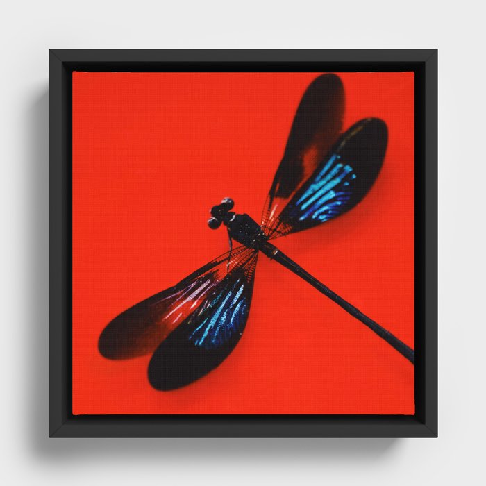 Dragonfly on Red Framed Canvas
