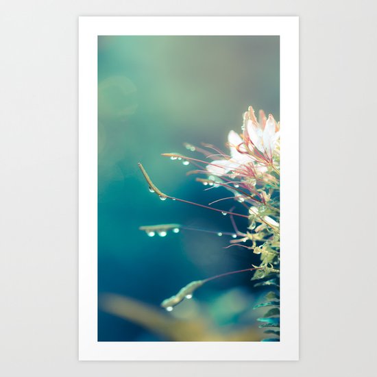 Seeking Art Print