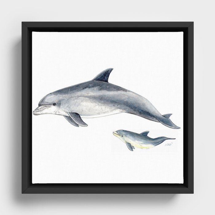 Framed Canvas