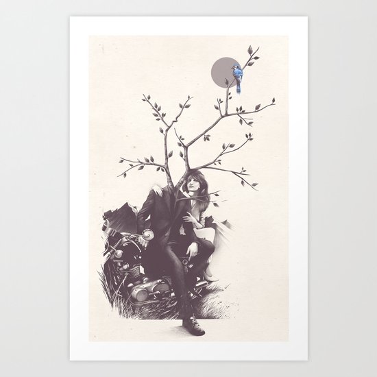 Bluejay Art Print