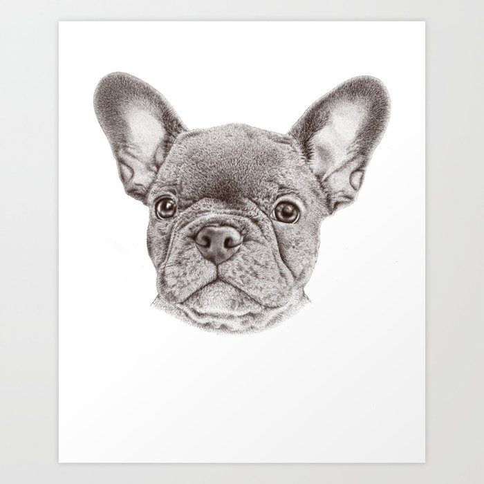 Drawing of french bulldog Art Print