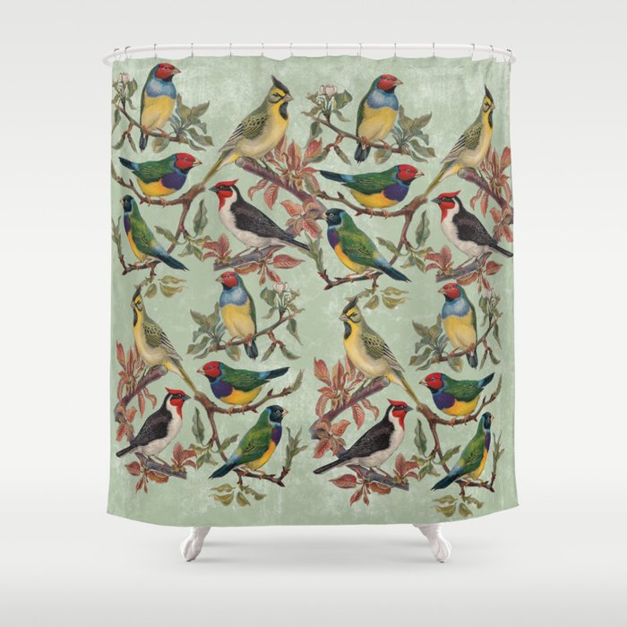 Vintage Birds Shower Curtain