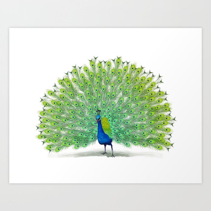 Artistic Peacock Painting Art Print By Lizardgd Society6