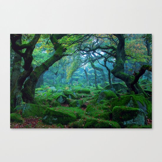 Forest #woods Canvas Print