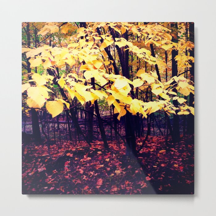 Under The Shade Of Yellow Metal Print