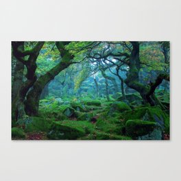 Enchanted forest mood Canvas Print