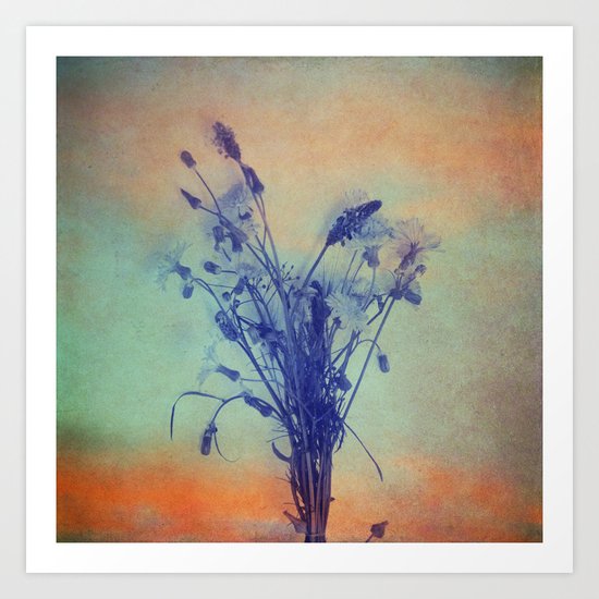 Small Beauties of Nature Art Print