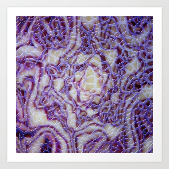 Natural abstract Art Print